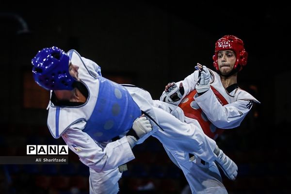 لیگ برتر تکواندو