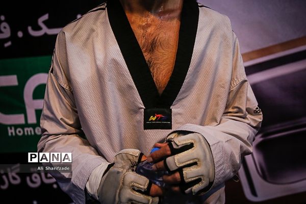 لیگ برتر تکواندو