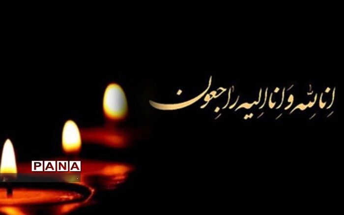 وزیر آموزش‌و‌پرورش درگذشت آیت‌الله شاهرودی را تسلیت گفت