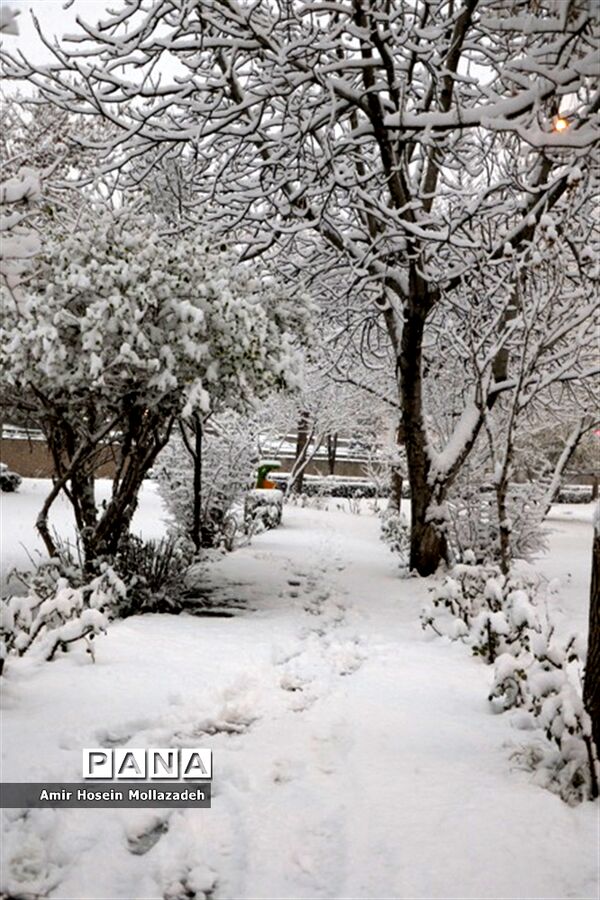 اولین برف زمستانی در ارومیه