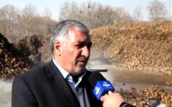 پرداخت بیش از 56 درصد از مطالبات چغندرقند کاران آذربایجان غربی