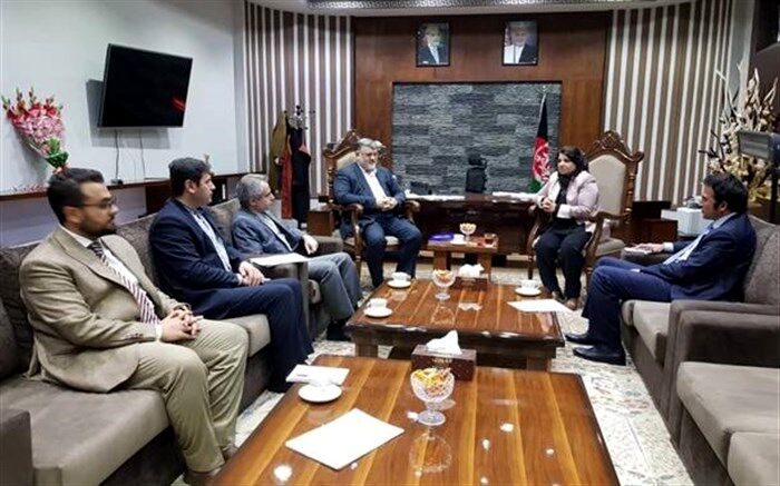 استاندار خراسان جنوبی خبر داد: رایزنی  در کشور افغانستان برای تثبیت و گسترش مرزهای رسمی با این کشور