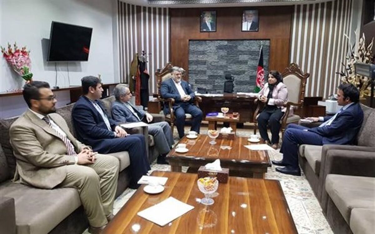 استاندار خراسان جنوبی خبر داد: رایزنی  در کشور افغانستان برای تثبیت و گسترش مرزهای رسمی با این کشور