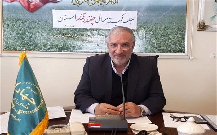 ۱.۹ میلیون تن چغندر قند از زراعان آذربایجان غربی خریداری شد