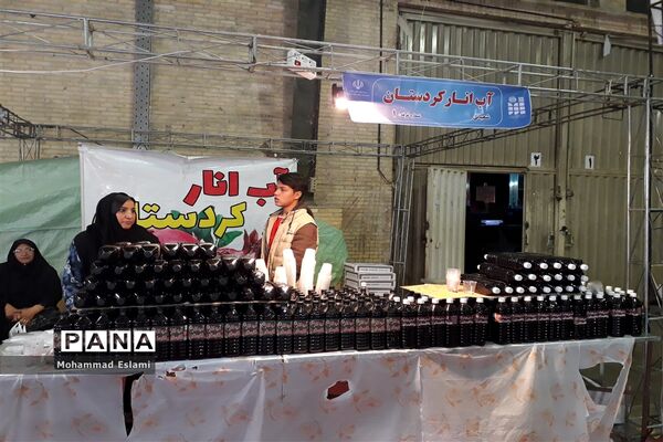 برگزاری نمایشگاه اقوام و عشایر ایرانی در یزد