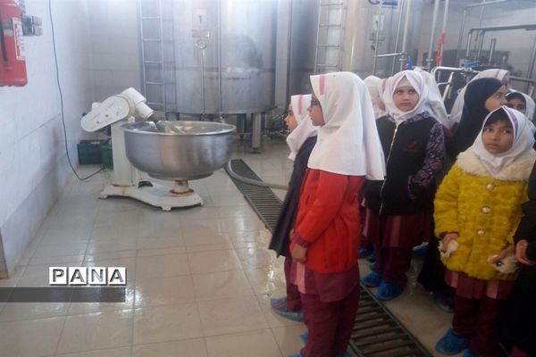 بازدید دانش‌آموزی از کارخانه  فرآورده‌های لبنی پدنک بشرویه