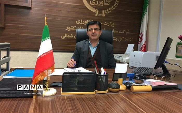 توزیع مرغ منجمد برای تنظیم بازار