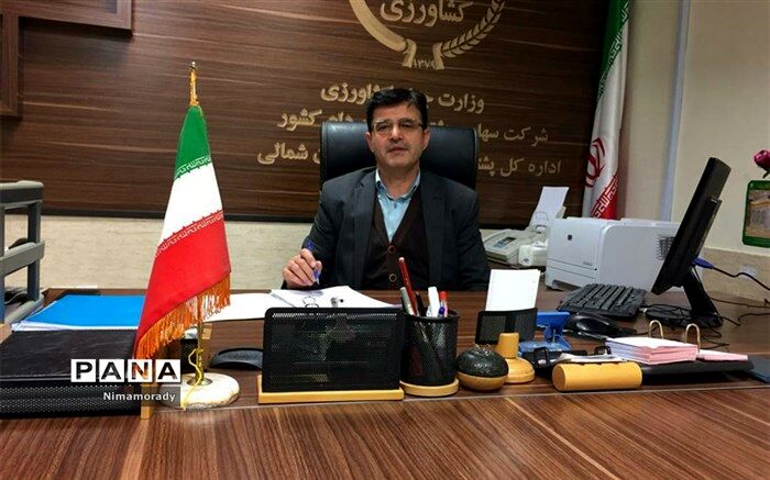 توزیع مرغ منجمد برای تنظیم بازار
