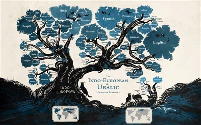 2019؛ سال تلاش برای بقای زبان‌های بومی