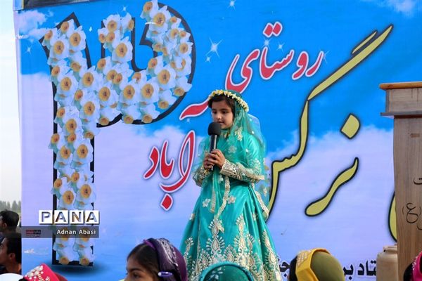 جشنواره گل نرگس در نوآباد  شهرستان مهر