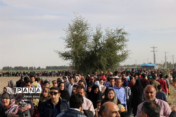 جشنواره گل نرگس در نوآباد  شهرستان مهر