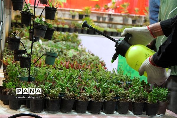 نمایشگاه گل‌و‌گیاه و تجهیزات باغبانی در شیراز