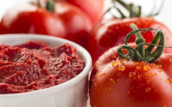 صادرات گوجه آزاد شد