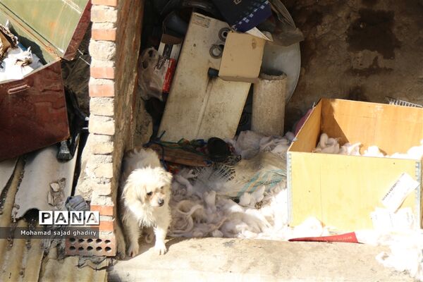 آغاز عملیات گسترده پلیس برای جمع‌آوری معتادان متجاهر و پاکسازی مناطق