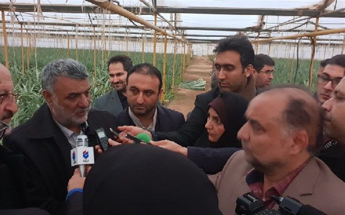 وسعت گلخانه های کشور به ۱۵ هزار هکتار رسیده است