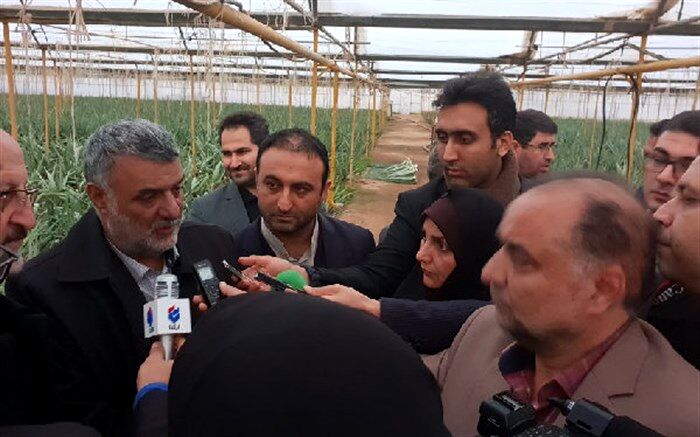 وسعت گلخانه های کشور به ۱۵ هزار هکتار رسیده است