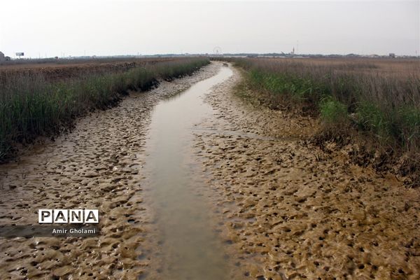 اردوی دانش‌آموزی راهیان نور و آشنایی با فرهنگ مقاومت