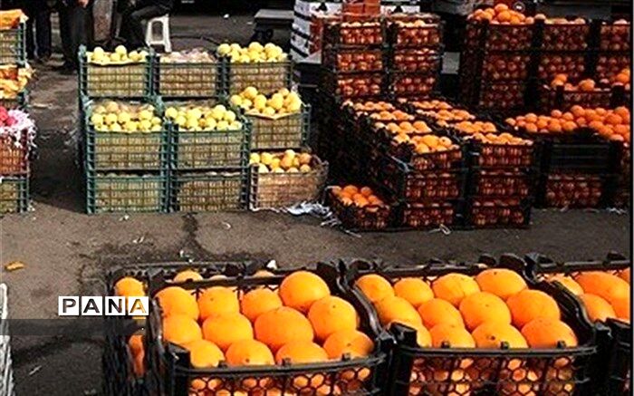 ۹ هزار تن سیب و پرتغال برای شب عید استان تهران ذخیره‌سازی شد