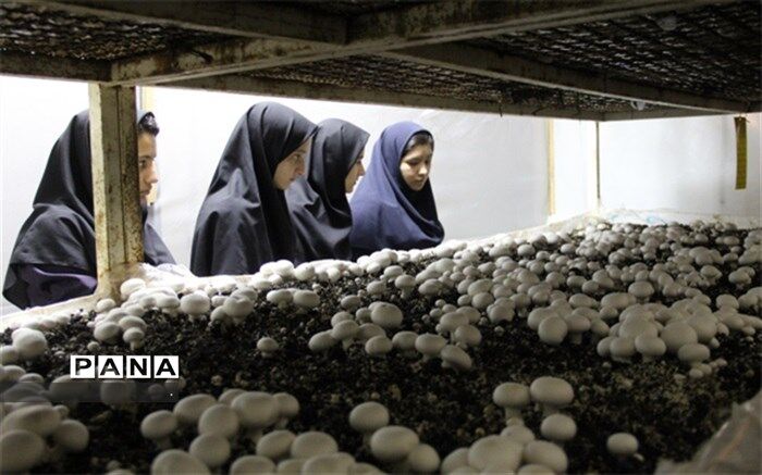 بازدید علمی دانش آموزان دبیرستان فرزانگان دوره دوم