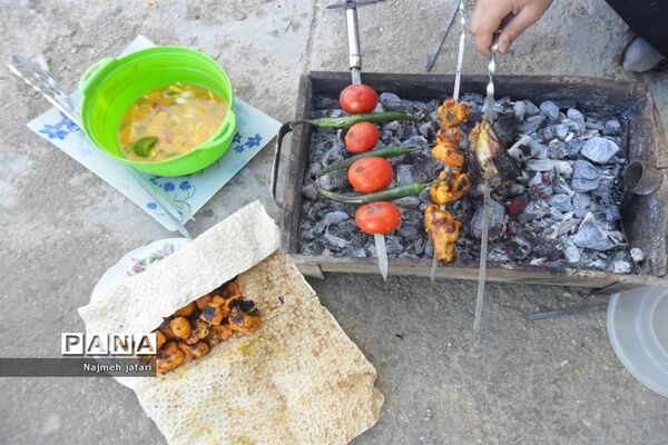برگزاری جشنواره غذای سالم در زرین دشت