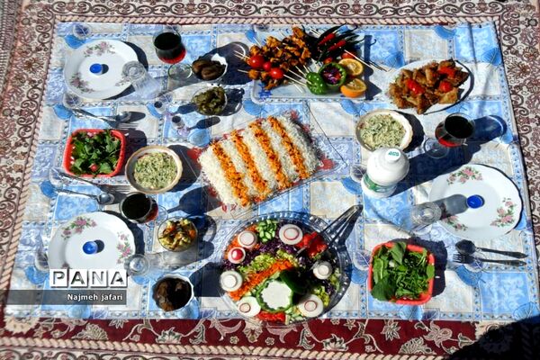 برگزاری جشنواره غذای سالم در زرین دشت
