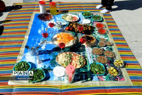 برگزاری جشنواره غذای سالم در زرین دشت