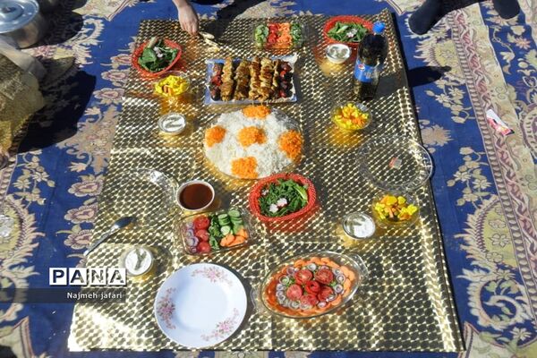 برگزاری جشنواره غذای سالم در زرین دشت