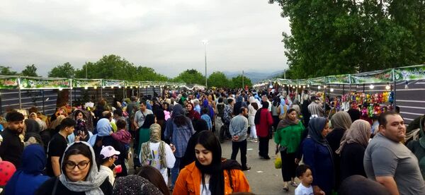 چهارمین جشنواره آلوچه در شهرستان صومعه‌سرا