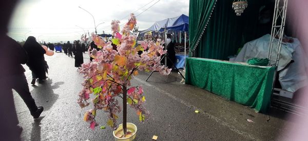 سربازان کوچک امام مهدی(عج)