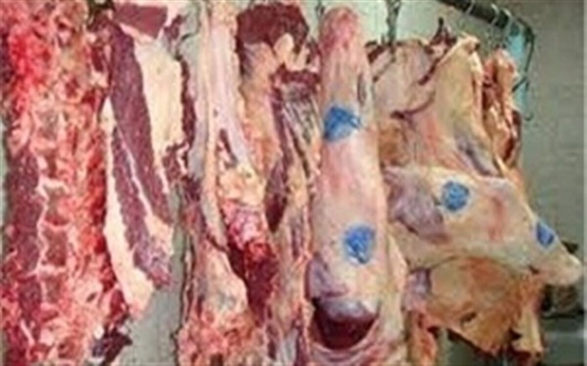 ورود دادستان به پرونده قاچاق دام زنده؛ قیمت‌ها به زودی شکسته می‌شود