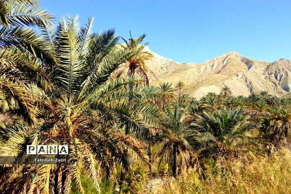 آسیاب‌های تنگ ترمان لامِرد فارس