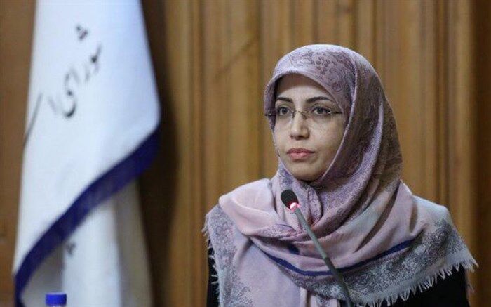 رئیس کمیته اجتماعی شورای شهر تهران: ساماندهی مشاغل سیار تعریف شغل جدید نیست