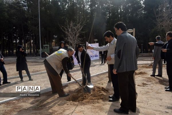 کاشت ۴۰ اصله نهال با یادمان ارتباطی فراگیر