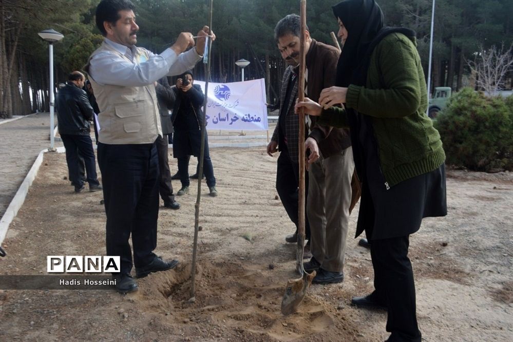 کاشت ۴۰ اصله نهال با یادمان ارتباطی فراگیر