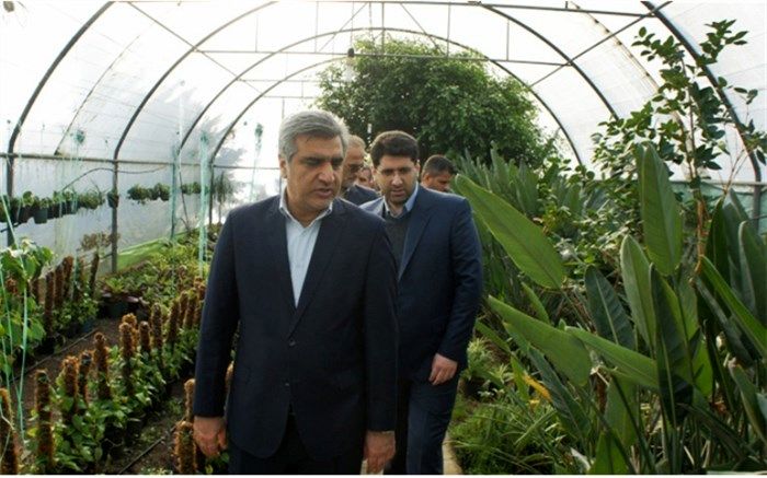 اولین کارگاه آموزشی کشت هیدروپونیک در گیلان افتتاح شد