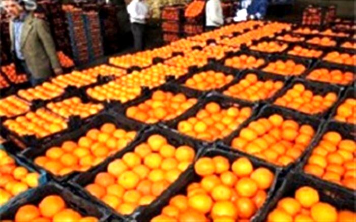 تکمیل ذخیره سازی میوه عیدانه تا دهم اسفند