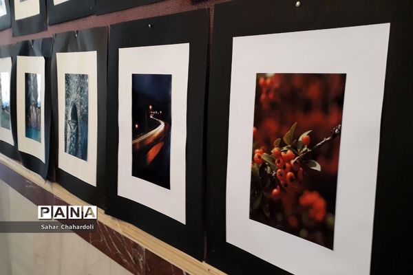 برگزاری نمایشگاه هنرهای تجسمی و گرافیک در هنرستان تهذیب همدان