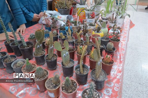 آیین افتتاحیه بازارچه کارآفرینی دبیرستان فرزانگان شهدا اردکان