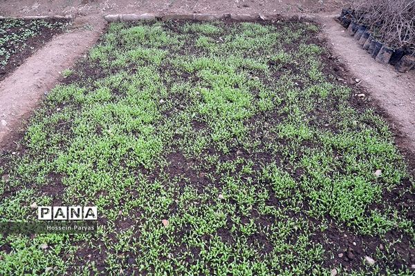 دومین روز سفر وزیر آموزش و پرورش به ایلام