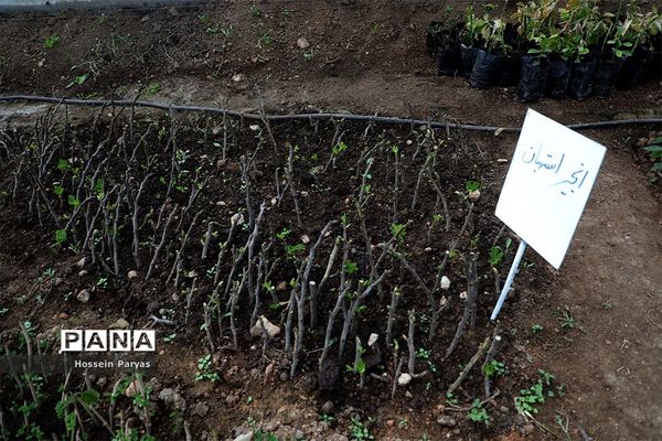 دومین روز سفر وزیر آموزش و پرورش به ایلام