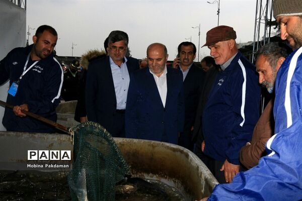 جشنواره عرضه و طبخ آبزیان در ساری