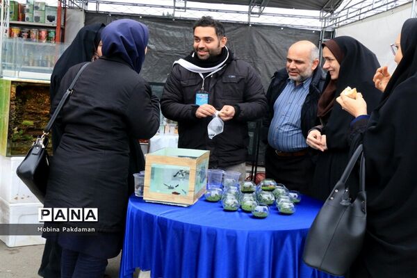 جشنواره عرضه و طبخ آبزیان در ساری