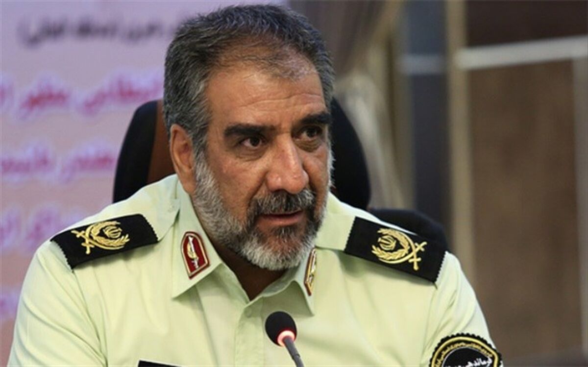 63 مجرم حرفه‌ای در طرح ضربتی پلیس بازداشت شدند
