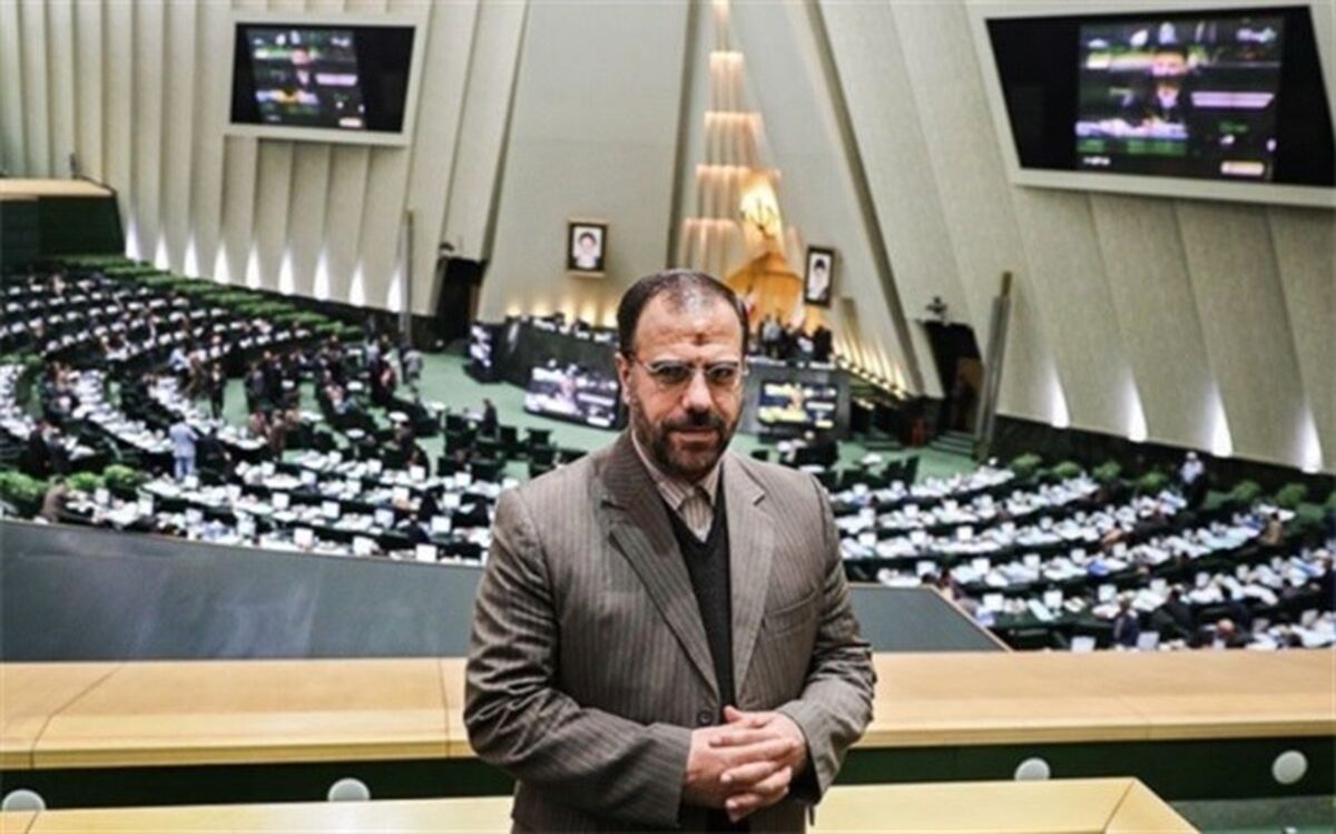 امیری:  دولت با استانی شدن انتخابات موافق است