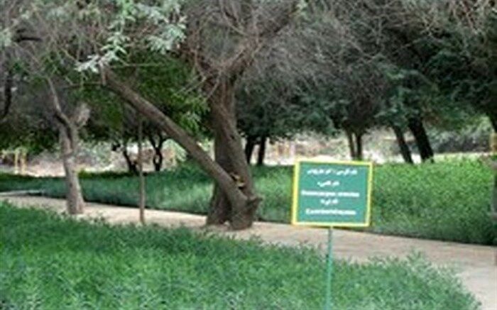 ۶۰ نهالستان آذربایجان غربی مجوز فعالیت دریافت کردند