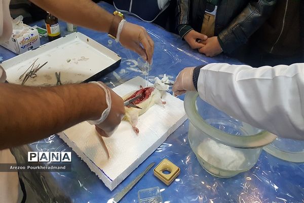 آیین افتتاحیه نمایشگاه توانمندی‌های دانش‌آموزی دبیرستان شهید رحیمی‌فر میبد