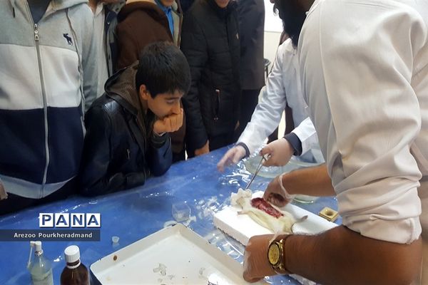 آیین افتتاحیه نمایشگاه توانمندی‌های دانش‌آموزی دبیرستان شهید رحیمی‌فر میبد