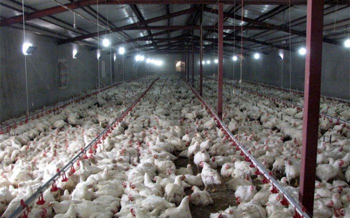 ۱۷ میلیون و ۸۰۰ هزار لیتر سوخت بین بهره برداران بخش کشاورزی تاکستان توزیع شد