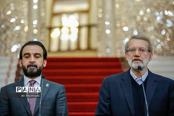 دیدار علی لاریجانی با رئیس مجلس عراق