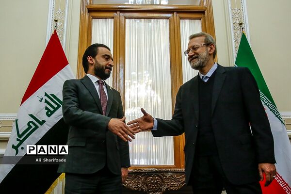 دیدار علی لاریجانی با رئیس مجلس عراق